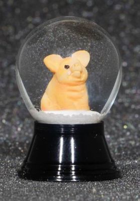 25 P Schwein sitzend