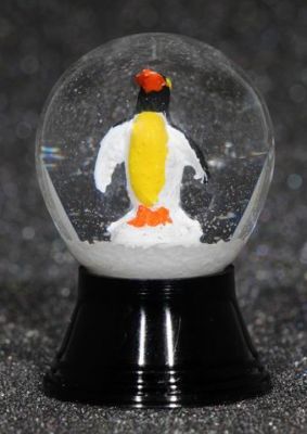 25 P Pinguin