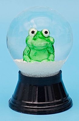 25 P Frosch