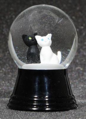 45 P Katzen wei&#223; und schwarz