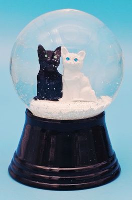 45 P Katzen wei&#223; und schwarz