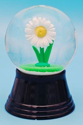 45 P G&#228;nsebl&#252;mchen