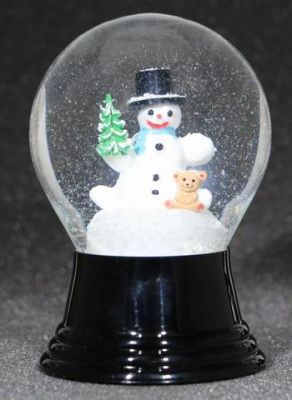 80 P Schneemann Teddy