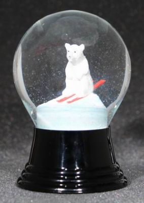 80 P Eisb&#228;r auf Schi