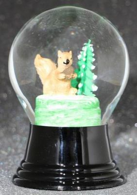 80 P Eichh&#246;rnchen und Baum